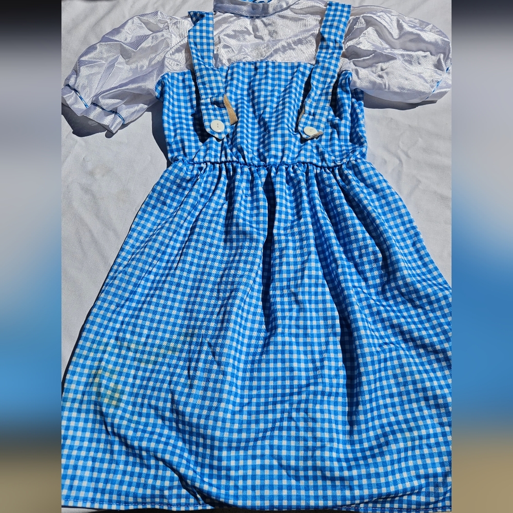 Adult Dorothy Dress Costume Size Large